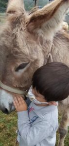 Nuestra burrita Lucera