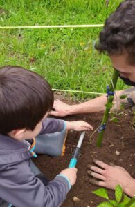 granja-el-horreo-cultivo