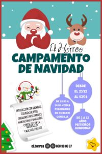 poster campamento de navidad